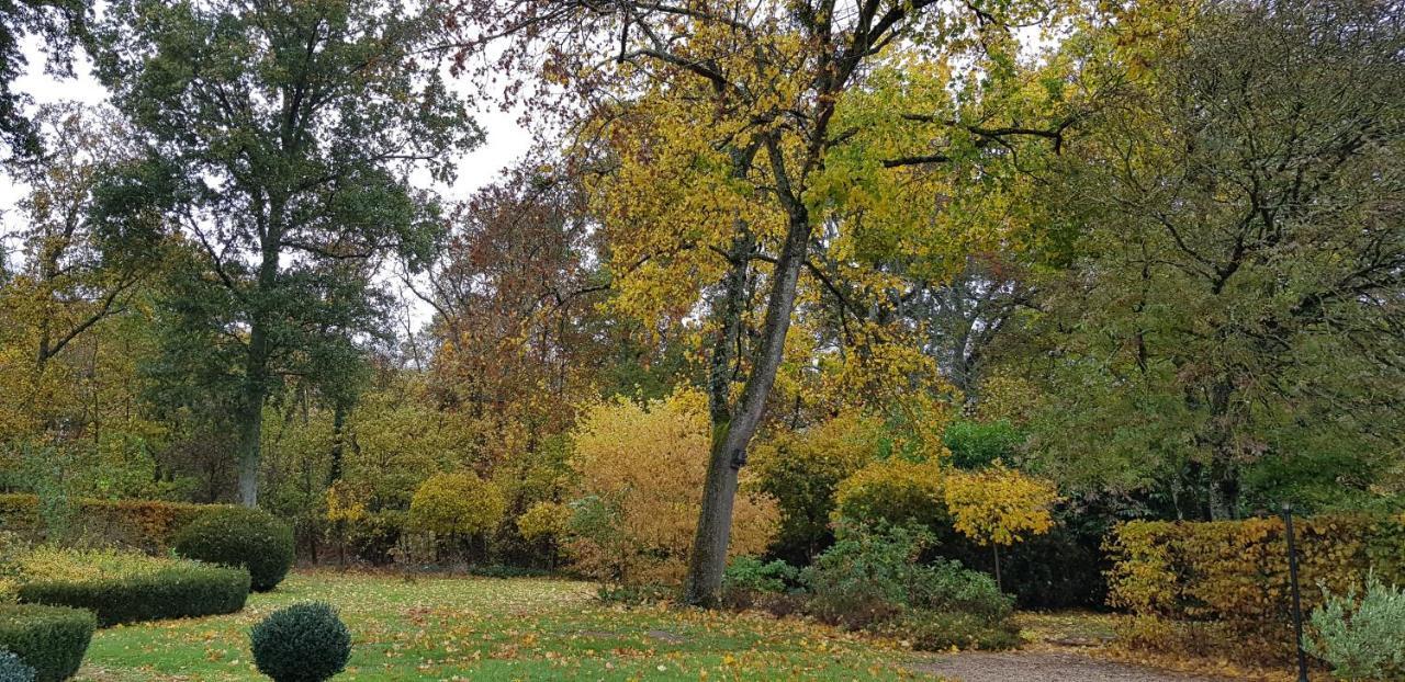 مبيت وإفطار Huisseau-sur-Cosson La Taille De Biou المظهر الخارجي الصورة